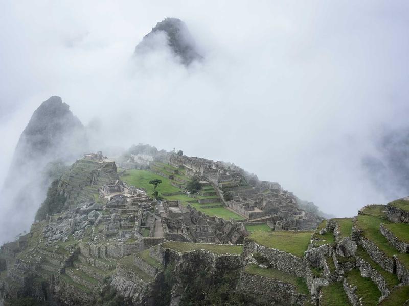 sudoku cooperative play